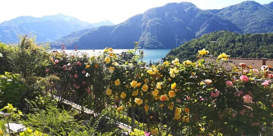 Magic Garden With Jacuzzi-Pool And Luxury Lake Como View Lenno Exterior foto
