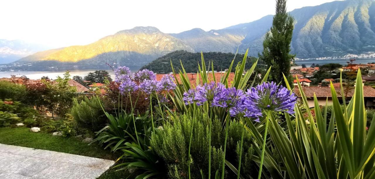 Magic Garden With Jacuzzi-Pool And Luxury Lake Como View Lenno Exterior foto